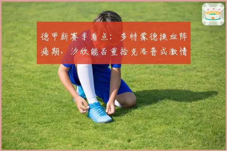 德甲新赛季看点：多特蒙德换血阵痛期，沙欣能否重拾克洛普式激情足球