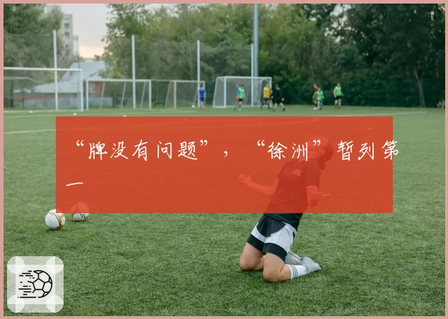 “牌没有问题”，“徐洲”暂列第一