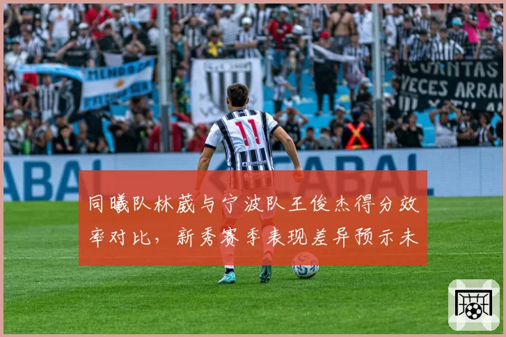 同曦队林葳与宁波队王俊杰得分效率对比，新秀赛季表现差异预示未来成长空间